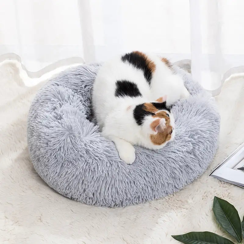 Warm Basket Cushion